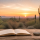 Serene Sonoran Desert Sunrise With A Journal And Grounding Stone